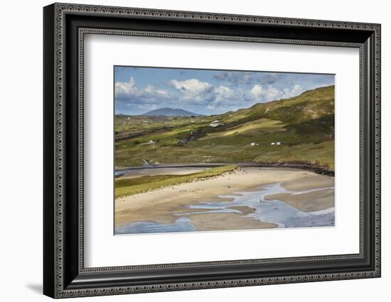 Barley Cove, near Crookhaven, County Cork, Munster, Republic of Ireland, Europe-Nigel Hicks-Framed Photographic Print