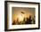 Barley Ears in the Early Morning Haze at Sunrise, Backlight, Close-Up, Mertloch, Eifel-P. Kaczynski-Framed Photographic Print