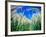 Barley Field in July, Denmark-Martin Lladó-Framed Photographic Print