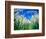 Barley Field in July, Denmark-Martin Lladó-Framed Photographic Print