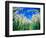 Barley Field in July, Denmark-Martin Lladó-Framed Photographic Print