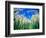 Barley Field in July, Denmark-Martin Lladó-Framed Photographic Print