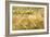 Barley-Dr. Keith Wheeler-Framed Photographic Print