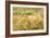 Barley-Dr. Keith Wheeler-Framed Photographic Print