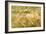 Barley-Dr. Keith Wheeler-Framed Photographic Print