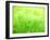 Barley-null-Framed Photographic Print