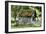 Barn 6763-Stephen Goodhue-Framed Photographic Print