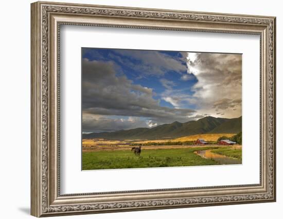 Barn Along Indian Creek and the Whitefish Range, Eureka, Montana-Chuck Haney-Framed Photographic Print