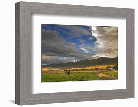 Barn Along Indian Creek and the Whitefish Range, Eureka, Montana-Chuck Haney-Framed Photographic Print