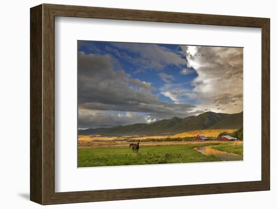 Barn Along Indian Creek and the Whitefish Range, Eureka, Montana-Chuck Haney-Framed Premium Photographic Print