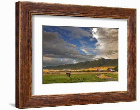 Barn Along Indian Creek and the Whitefish Range, Eureka, Montana-Chuck Haney-Framed Premium Photographic Print