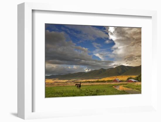 Barn Along Indian Creek and the Whitefish Range, Eureka, Montana-Chuck Haney-Framed Premium Photographic Print