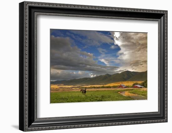 Barn Along Indian Creek and the Whitefish Range, Eureka, Montana-Chuck Haney-Framed Premium Photographic Print