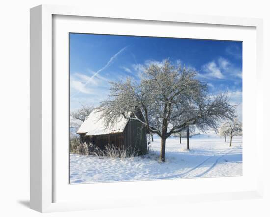 Barn and Apple Trees in Winter, Weigheim, Baden-Wurttemberg, Germany, Europe-Jochen Schlenker-Framed Photographic Print