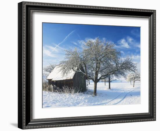 Barn and Apple Trees in Winter, Weigheim, Baden-Wurttemberg, Germany, Europe-Jochen Schlenker-Framed Photographic Print