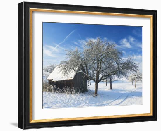 Barn and Apple Trees in Winter, Weigheim, Baden-Wurttemberg, Germany, Europe-Jochen Schlenker-Framed Photographic Print