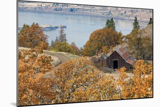 Barn And Columbia River-Donald Paulson-Mounted Giclee Print