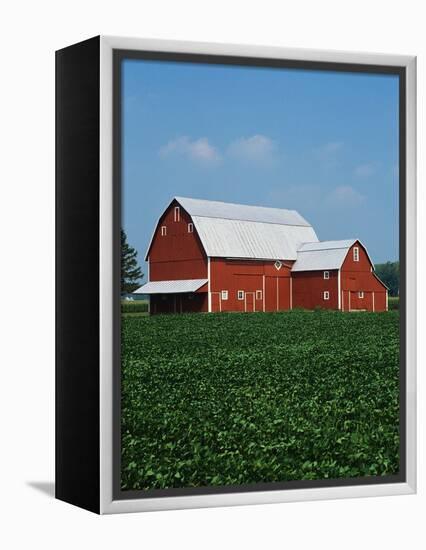 Barn and Corn Field-Joseph Sohm-Framed Premier Image Canvas