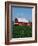 Barn and Corn Field-Joseph Sohm-Framed Photographic Print