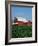 Barn and Corn Field-Joseph Sohm-Framed Photographic Print