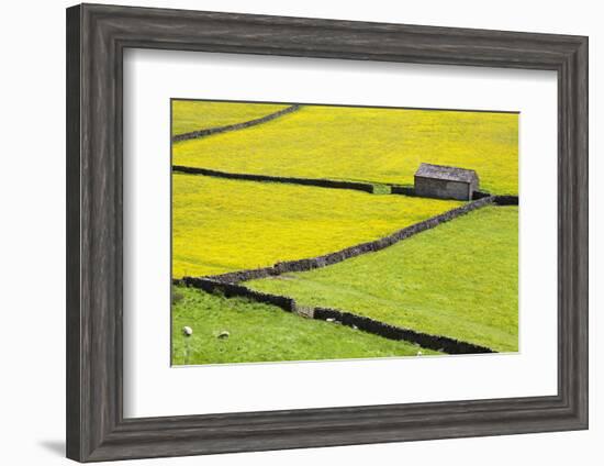 Barn and Dry Stone Walls in Buttercup Meadows at Gunnerside-Mark Sunderland-Framed Photographic Print