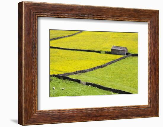 Barn and Dry Stone Walls in Buttercup Meadows at Gunnerside-Mark Sunderland-Framed Photographic Print