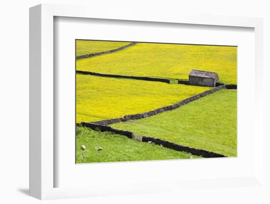 Barn and Dry Stone Walls in Buttercup Meadows at Gunnerside-Mark Sunderland-Framed Photographic Print