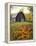 Barn and Fall Colors near Jericho Center, Vermont, USA-Darrell Gulin-Framed Premier Image Canvas