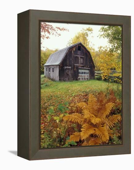 Barn and Fall Colors near Jericho Center, Vermont, USA-Darrell Gulin-Framed Premier Image Canvas