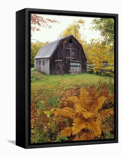 Barn and Fall Colors near Jericho Center, Vermont, USA-Darrell Gulin-Framed Premier Image Canvas