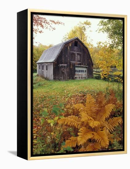 Barn and Fall Colors near Jericho Center, Vermont, USA-Darrell Gulin-Framed Premier Image Canvas