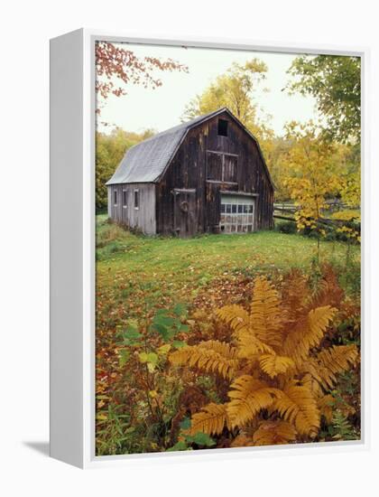 Barn and Fall Colors near Jericho Center, Vermont, USA-Darrell Gulin-Framed Premier Image Canvas