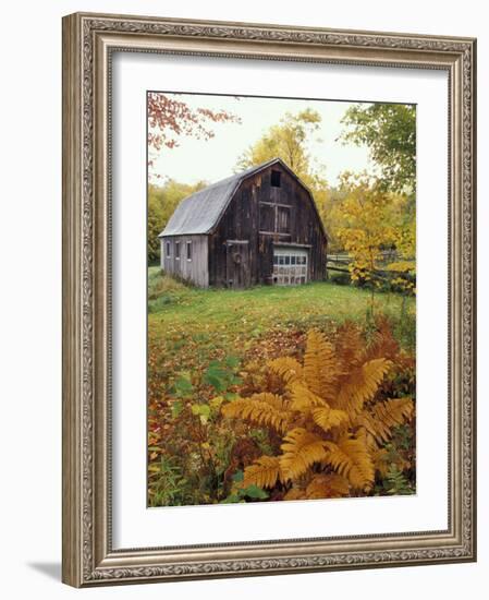 Barn and Fall Colors near Jericho Center, Vermont, USA-Darrell Gulin-Framed Photographic Print