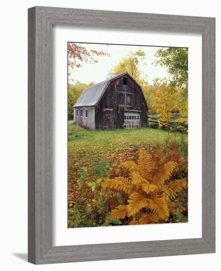 Barn and Fall Colors near Jericho Center, Vermont, USA-Darrell Gulin-Framed Photographic Print