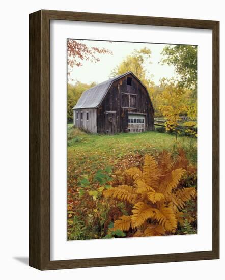 Barn and Fall Colors near Jericho Center, Vermont, USA-Darrell Gulin-Framed Photographic Print