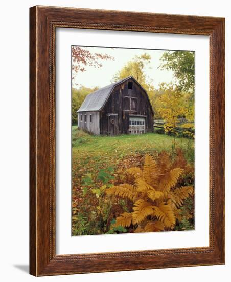 Barn and Fall Colors near Jericho Center, Vermont, USA-Darrell Gulin-Framed Photographic Print