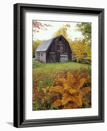 Barn and Fall Colors near Jericho Center, Vermont, USA-Darrell Gulin-Framed Photographic Print