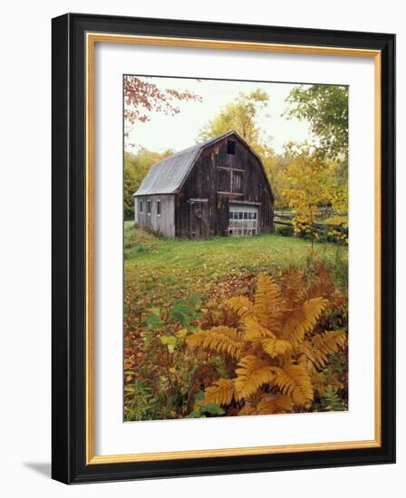 Barn and Fall Colors near Jericho Center, Vermont, USA-Darrell Gulin-Framed Photographic Print