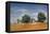 Barn and Field, Missouri, USA-Michael Scheufler-Framed Premier Image Canvas