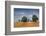 Barn and Field, Missouri, USA-Michael Scheufler-Framed Photographic Print