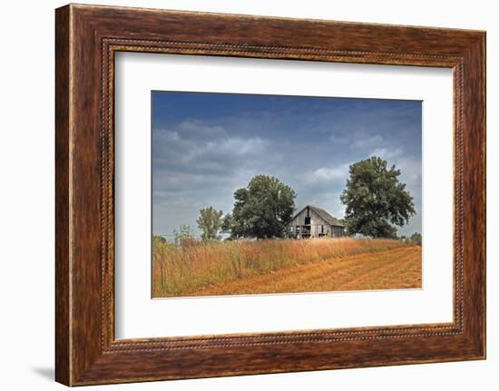 Barn and Field, Missouri, USA-Michael Scheufler-Framed Photographic Print