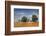 Barn and Field, Missouri, USA-Michael Scheufler-Framed Photographic Print