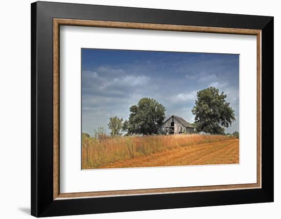 Barn and Field, Missouri, USA-Michael Scheufler-Framed Photographic Print