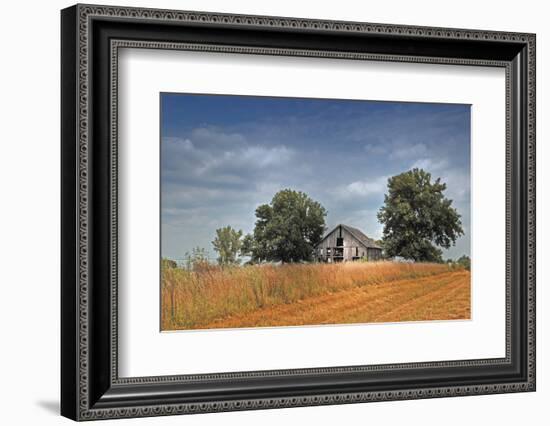 Barn and Field, Missouri, USA-Michael Scheufler-Framed Photographic Print