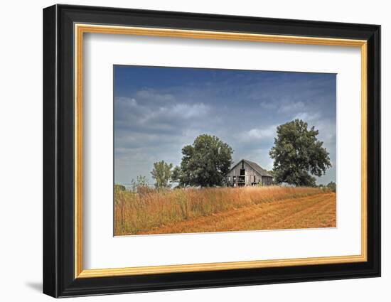 Barn and Field, Missouri, USA-Michael Scheufler-Framed Photographic Print