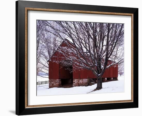 Barn and Maple after winter storm, Fairfax County, Virginia, USA-Charles Gurche-Framed Photographic Print