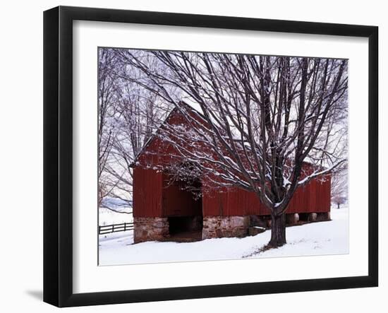 Barn and Maple after winter storm, Fairfax County, Virginia, USA-Charles Gurche-Framed Photographic Print