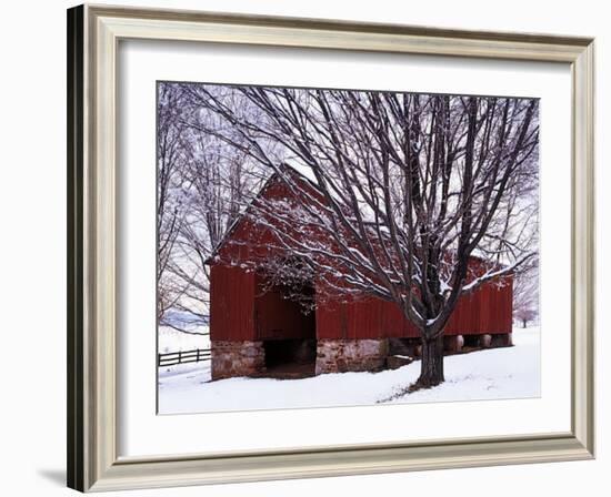 Barn and Maple after winter storm, Fairfax County, Virginia, USA-Charles Gurche-Framed Photographic Print