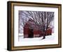 Barn and Maple after winter storm, Fairfax County, Virginia, USA-Charles Gurche-Framed Photographic Print