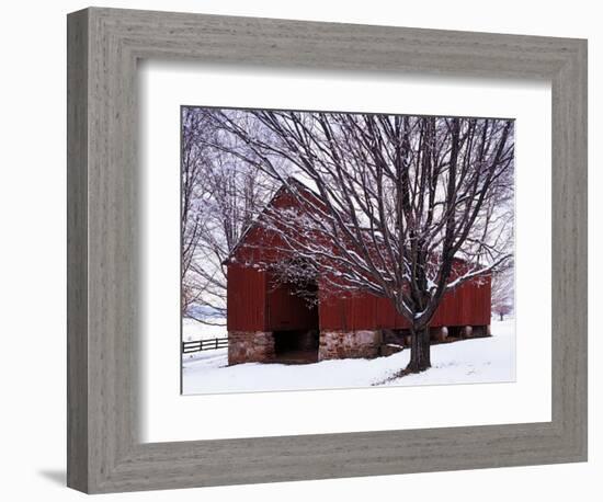 Barn and Maple after winter storm, Fairfax County, Virginia, USA-Charles Gurche-Framed Photographic Print